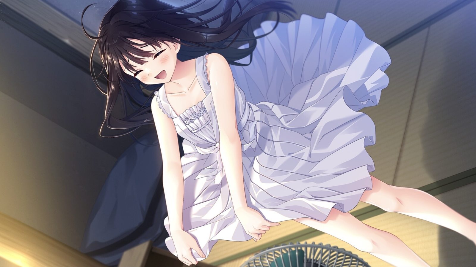 痴情哥哥与病弱妹妹的乡间生活DLC1 章节事件 资料图 2